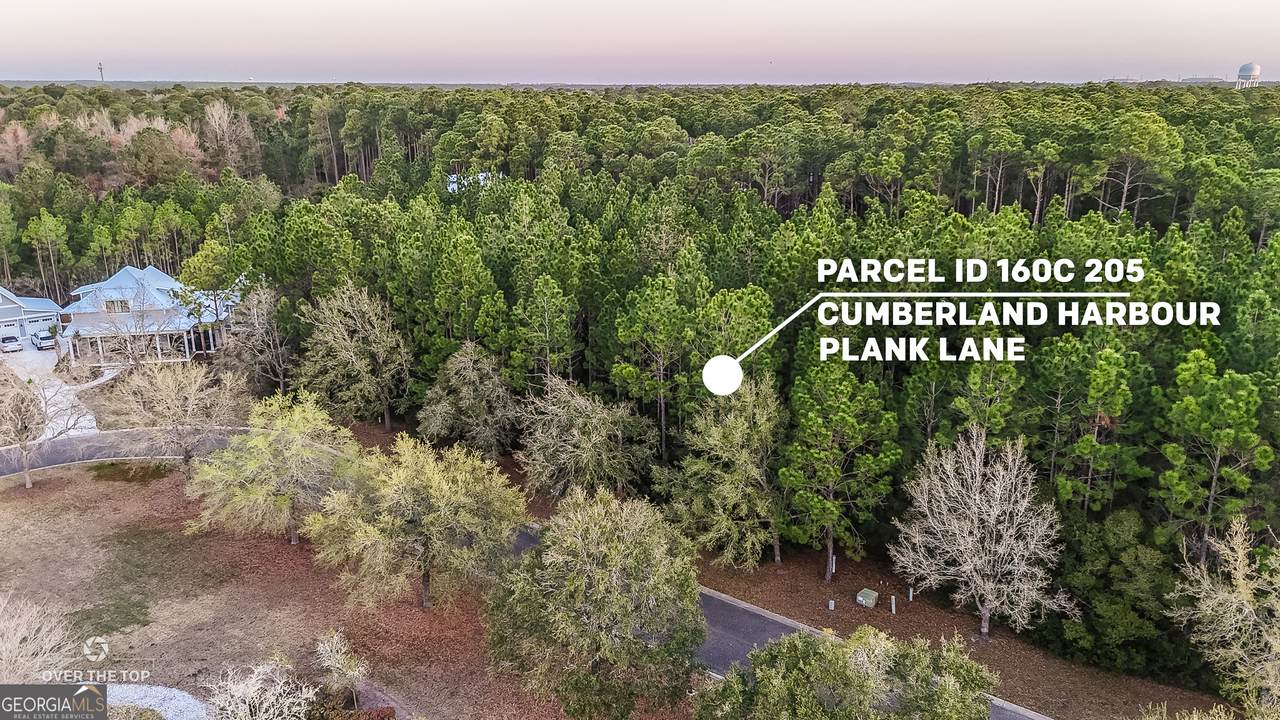 114 Plank Lane - Photo 1