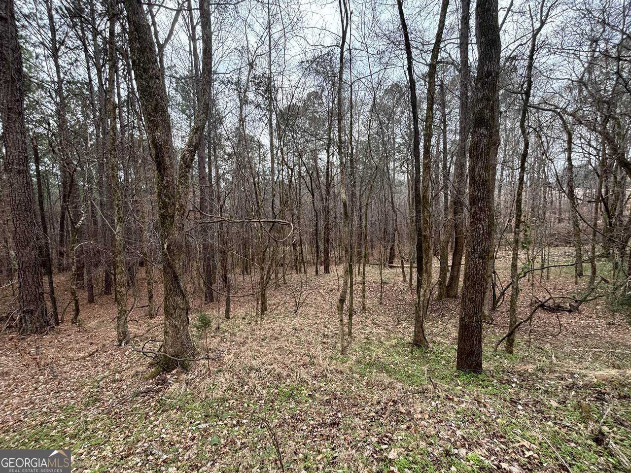 0 Oconee Rd Lot 3 - Photo 1