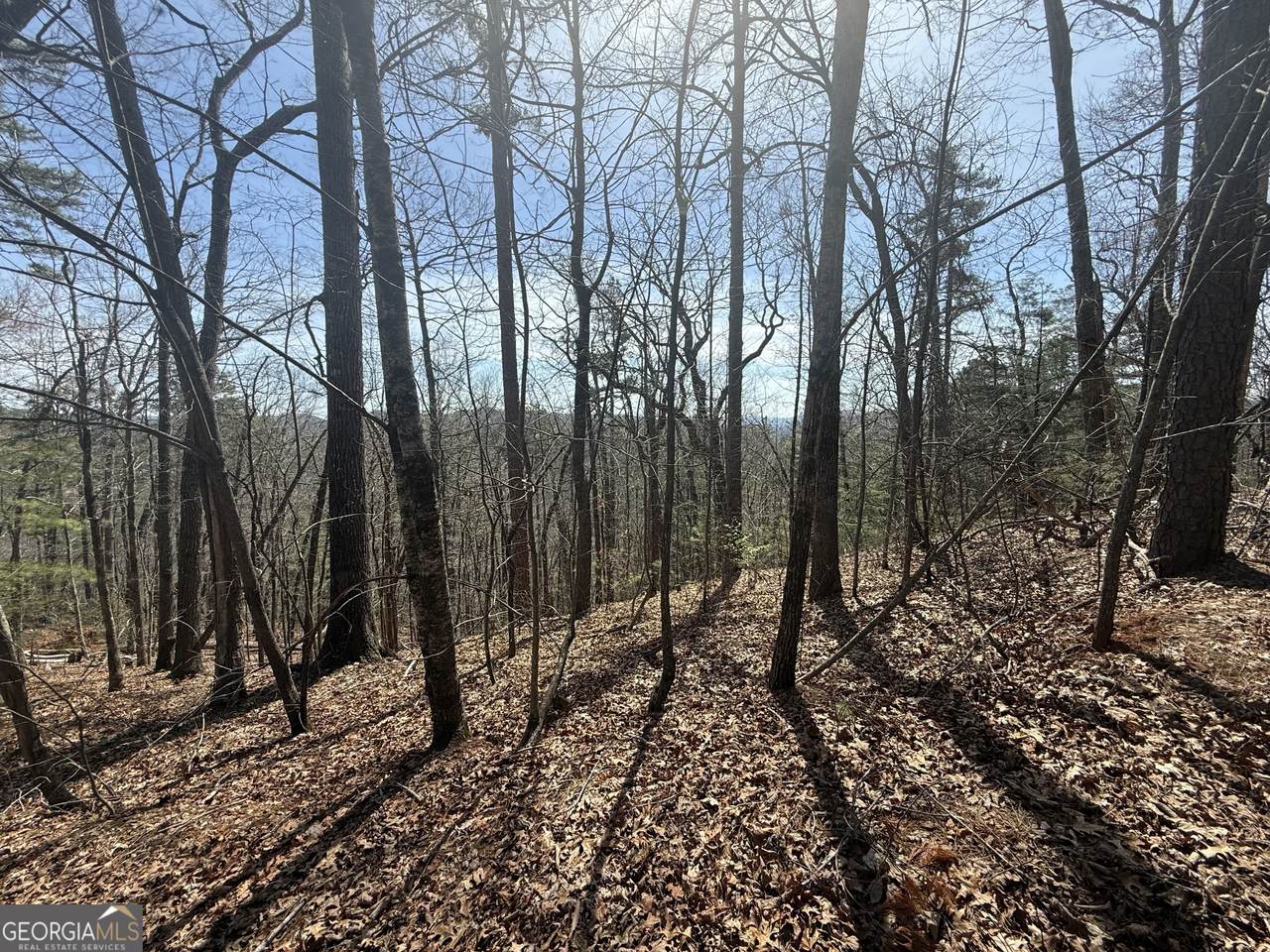 TRACT 3A Big View Lane - Photo 1