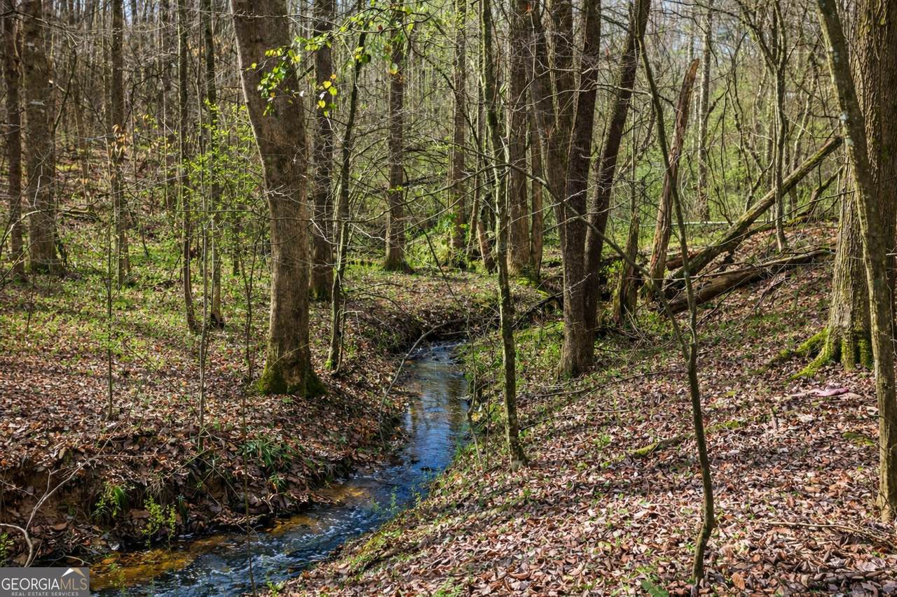 2325 Stonepile Road - Photo 1