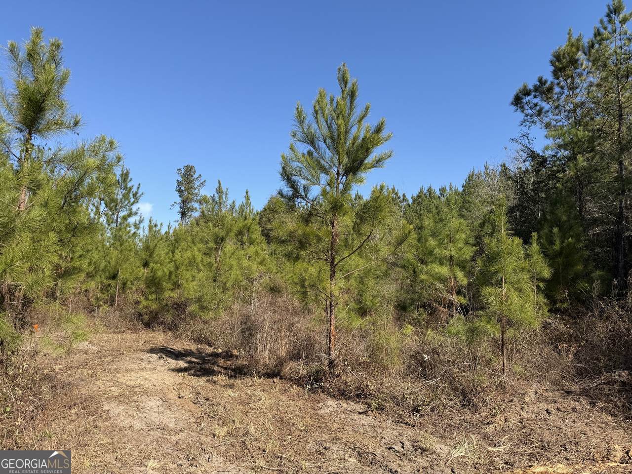 008 Sealy Wells Road - Photo 1
