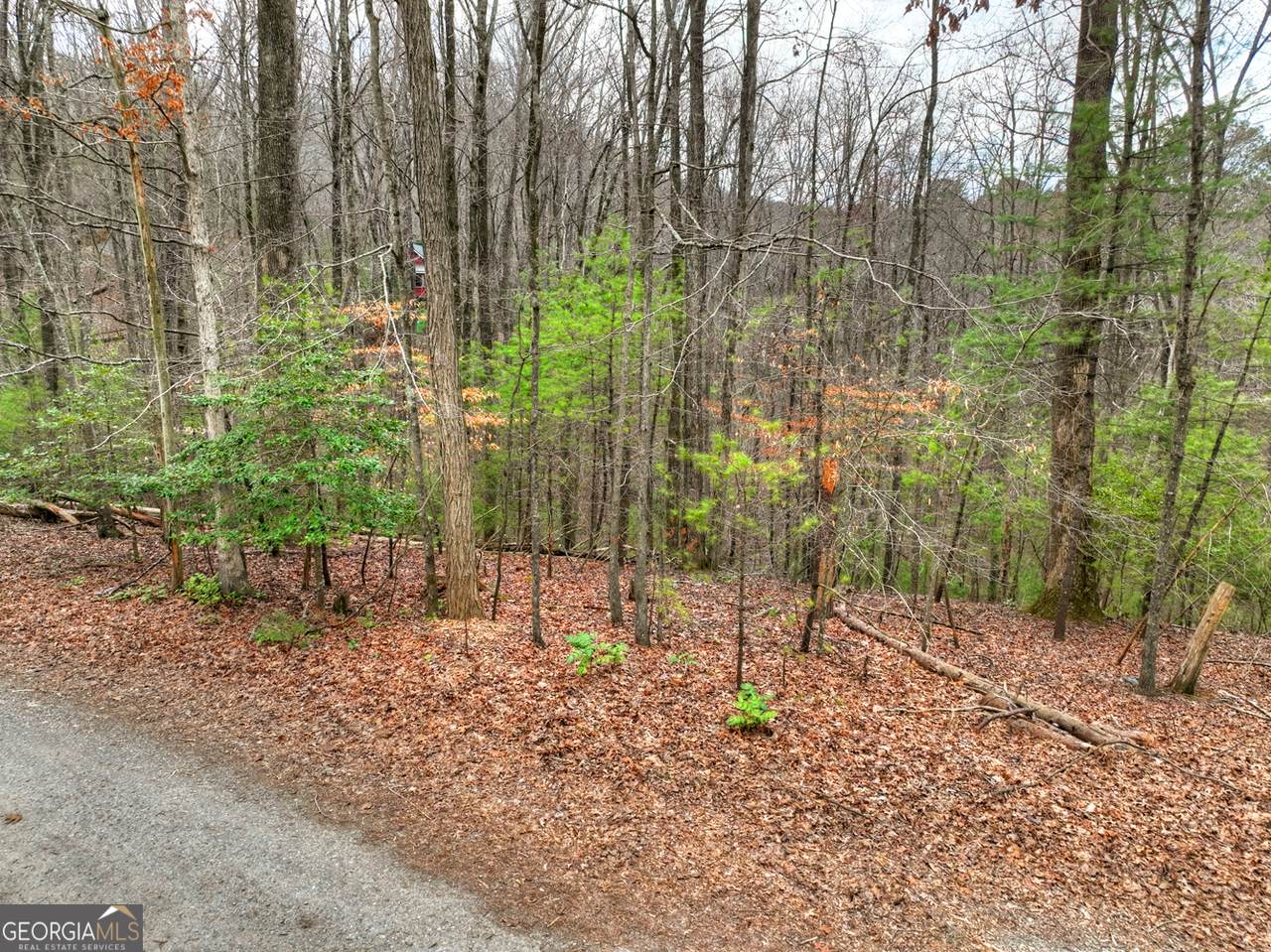 0 Ridge View Court - Photo 1