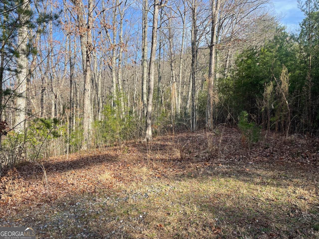 LOT 14 Big Cove Drive - Photo 1