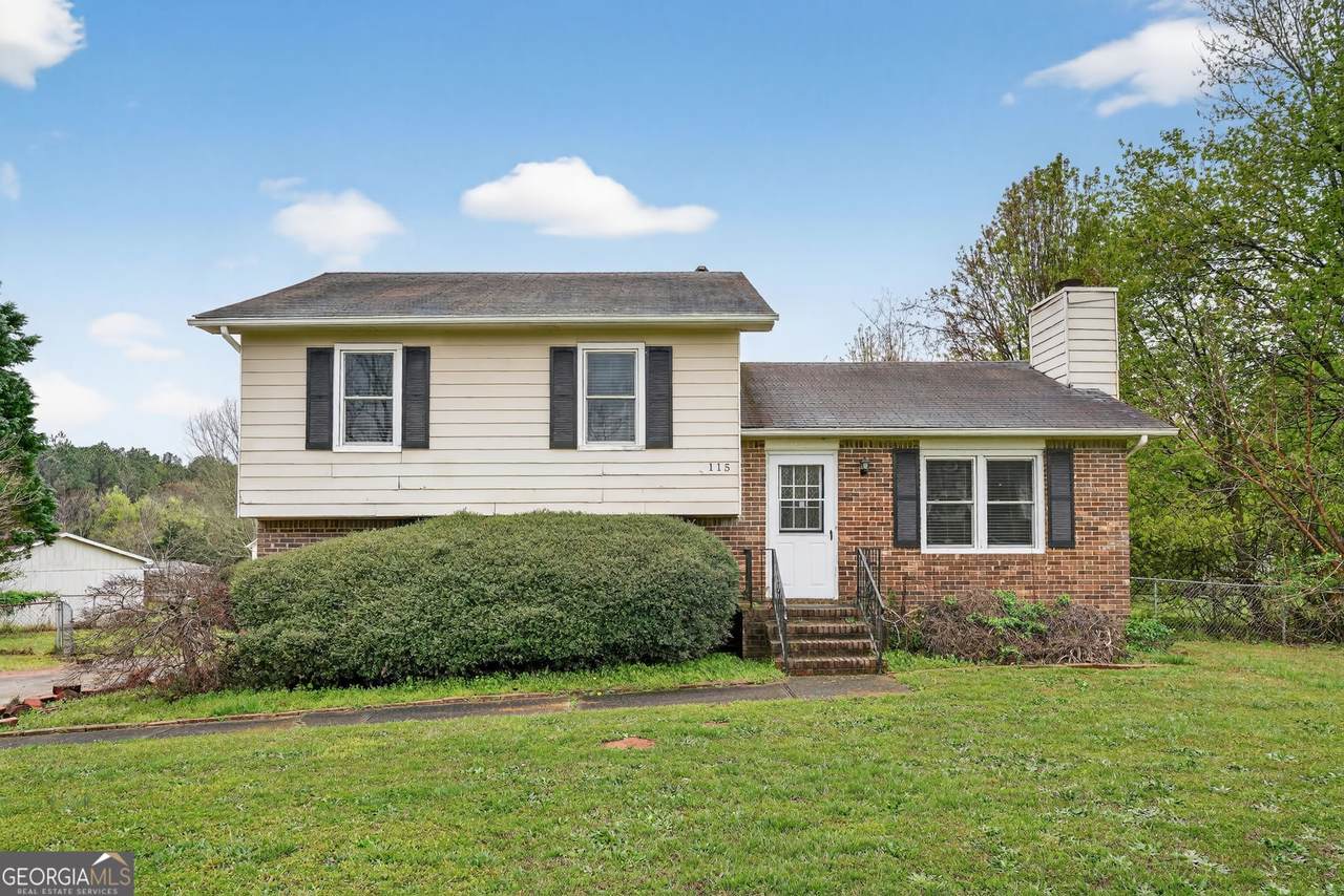 115 Belmont Farms Drive - Photo 1