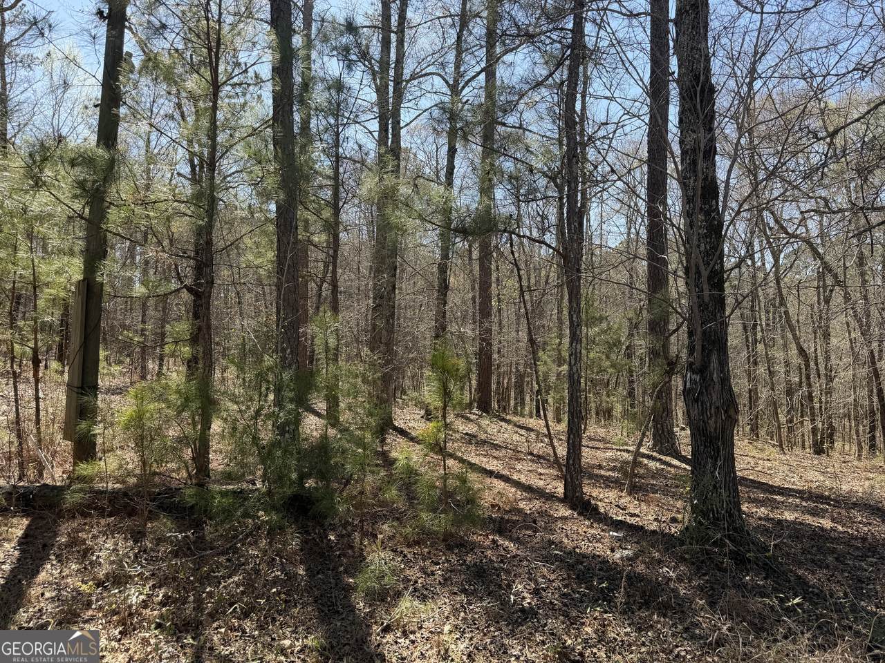 1430 Cleveland Farm Road - Photo 1