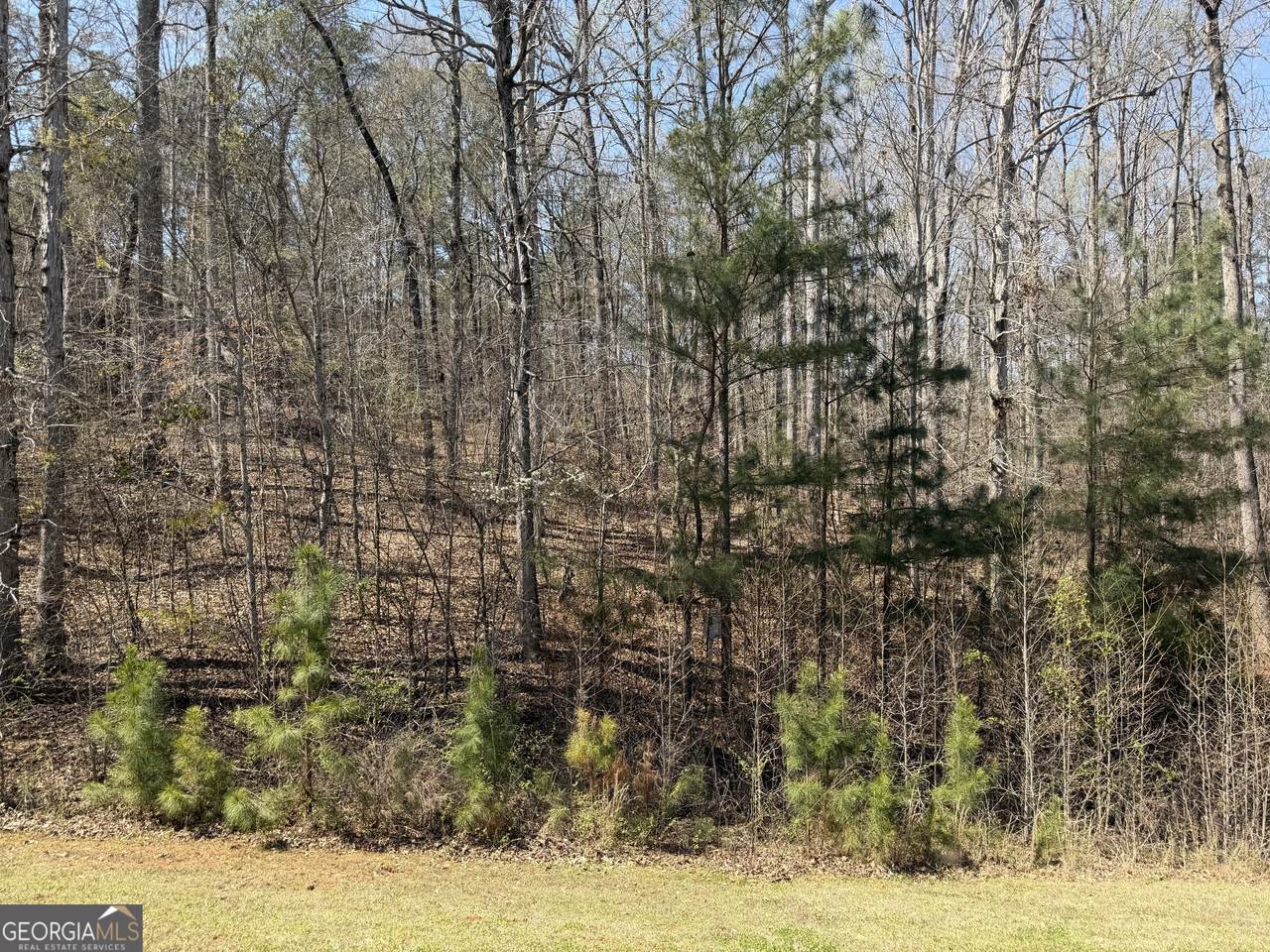 506 Forest Pointe Drive - Photo 1
