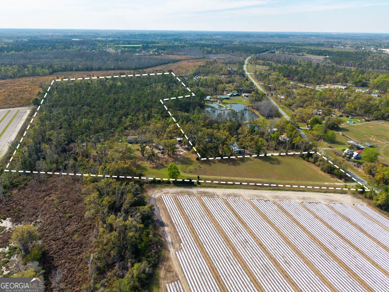 5536 Hickory Grove Road - Photo 1