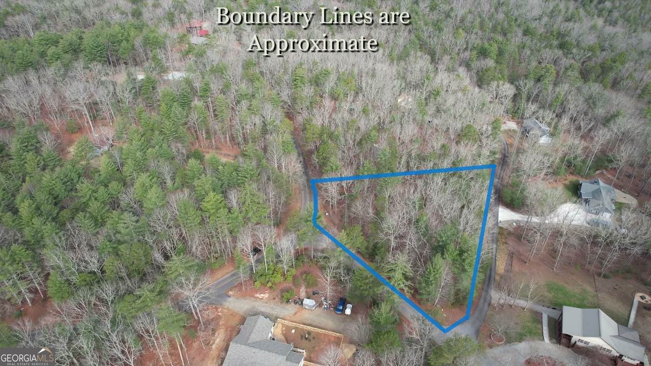 LOT 12 Deer Forest - Photo 1
