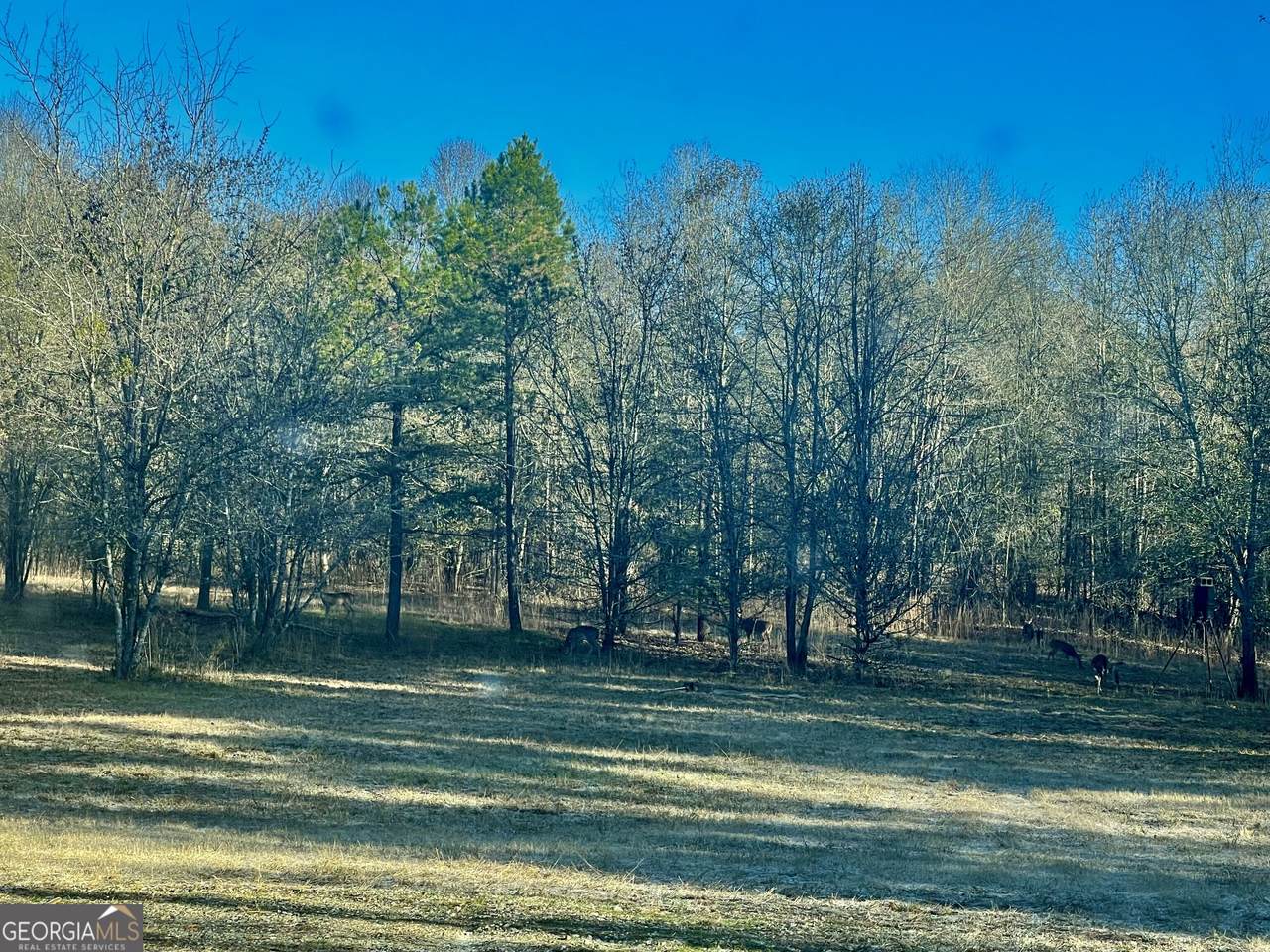 1072 Ford Road - Photo 1