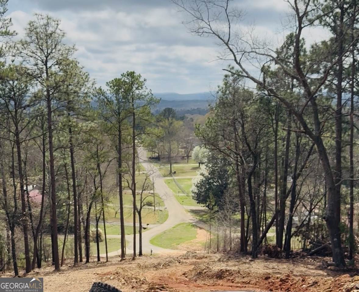 0 Monta Vista Road - Photo 1