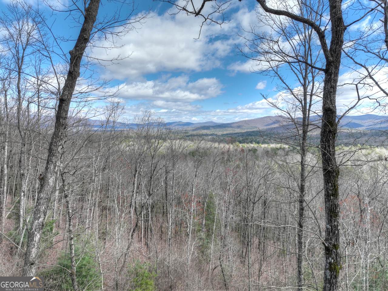 LT 14R Tanager Trail - Photo 1