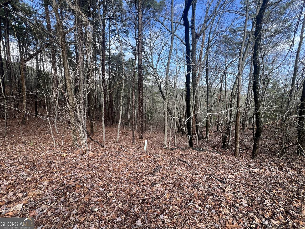 0 Spring Ridge Trail - Photo 1