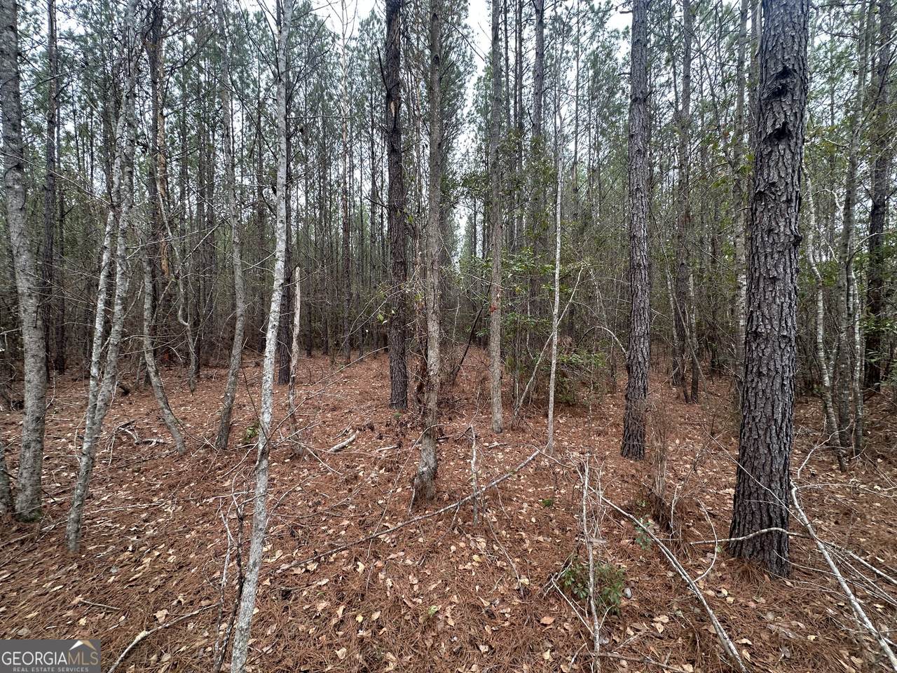 https://bt-photos.global.ssl.fastly.net/gamls/1280_boomver_1_10715687-2.jpg