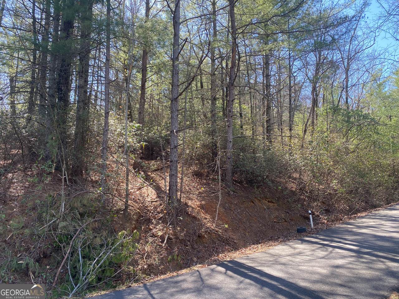 LOT 27 Lake Rabun Bluffs - Photo 1