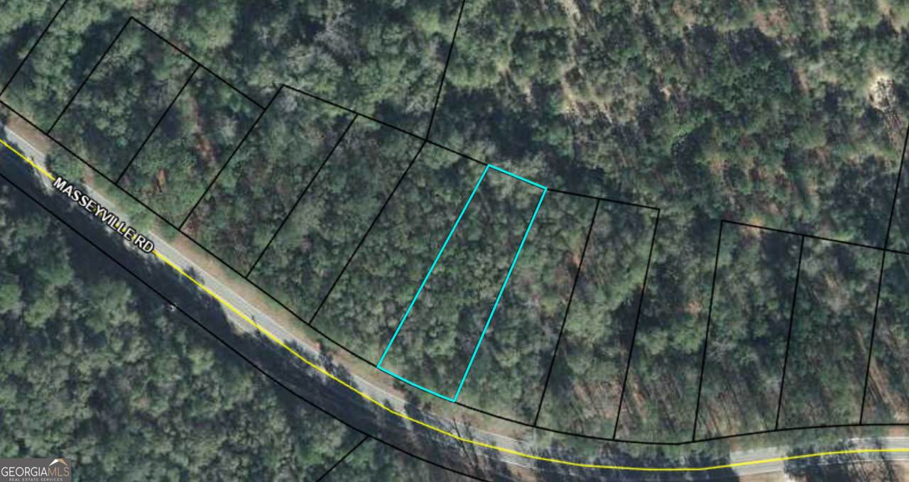 3098 Masseyville Road - Photo 1