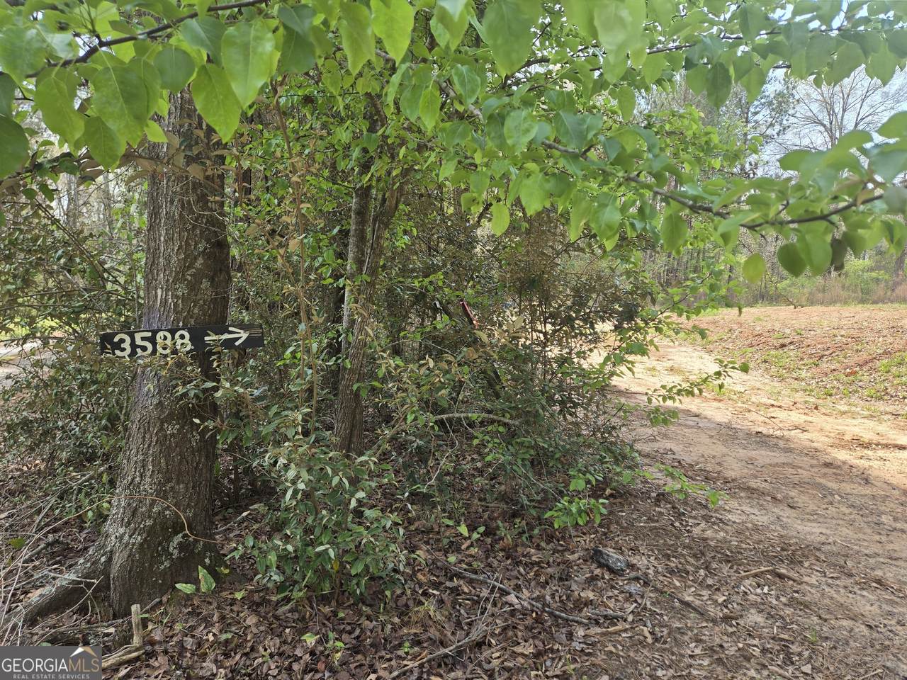 https://bt-photos.global.ssl.fastly.net/gamls/1280_boomver_1_10720580-2.jpg
