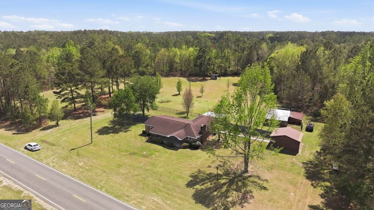 22010 Ga Highway 46 - Photo 1