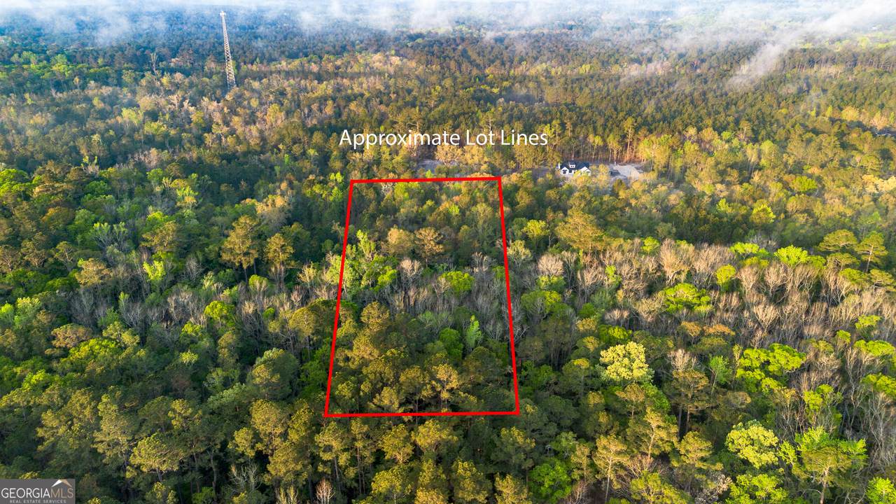 0 Little Mccall Road - Photo 1