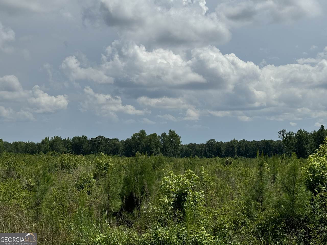 https://bt-photos.global.ssl.fastly.net/gamls/1280_boomver_1_10722617-2.jpg