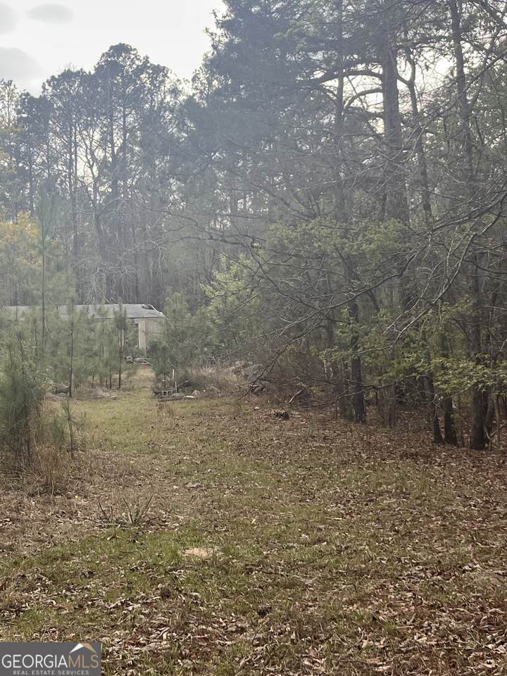 106 Missed Lane - Photo 1