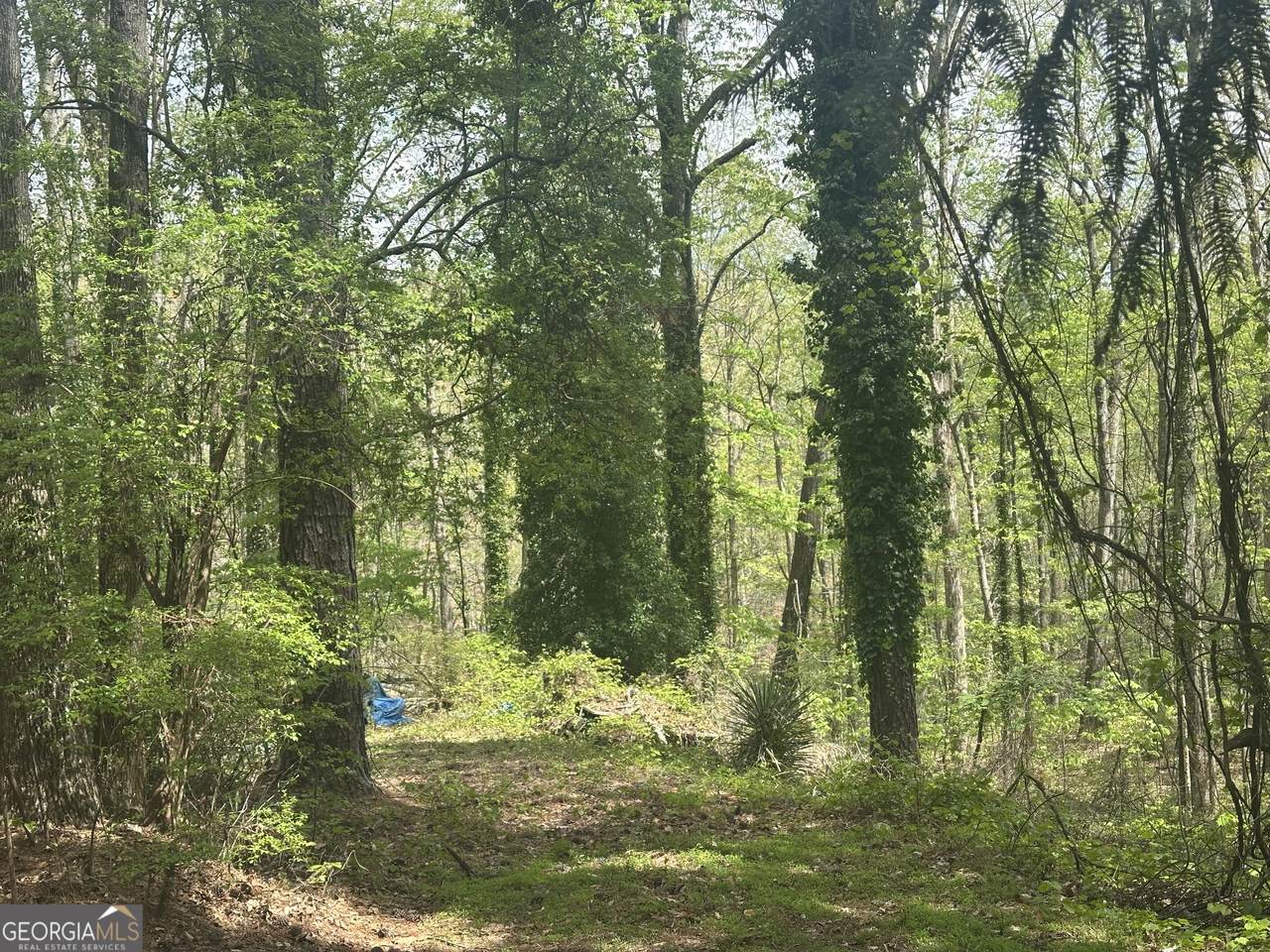 https://bt-photos.global.ssl.fastly.net/gamls/1280_boomver_1_10725180-2.jpg