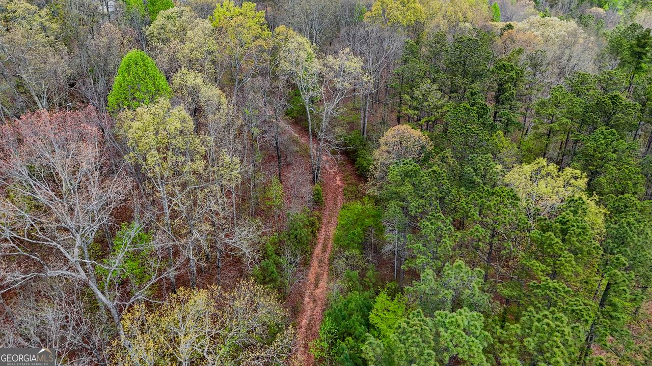 78 ACRES Cross Plains Road - Photo 1