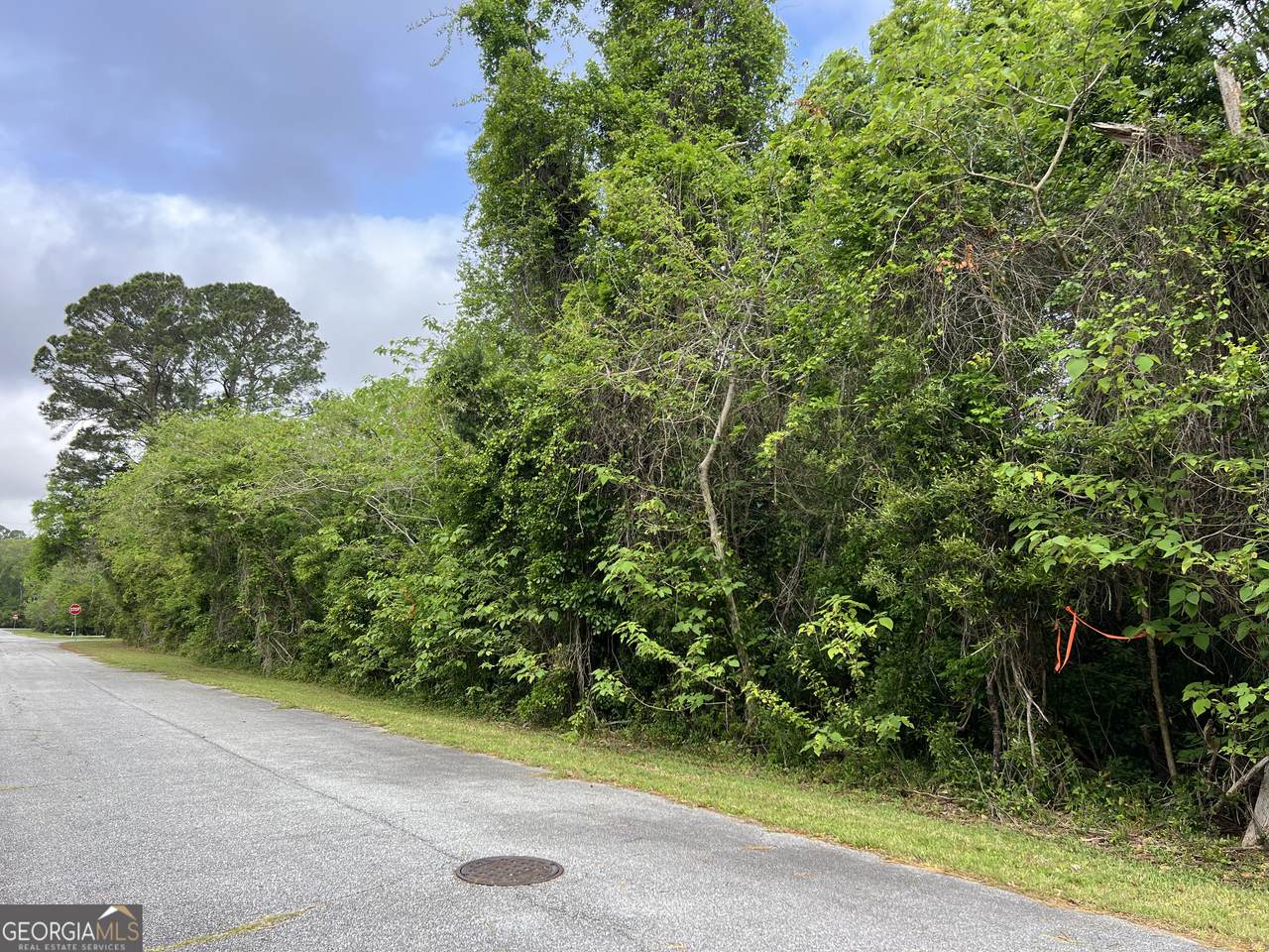 204 Meeting Street - Photo 1