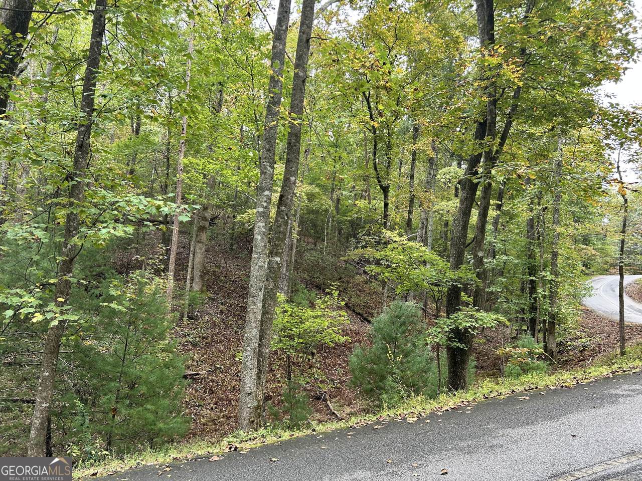 0 Lower Gap Road - Photo 1