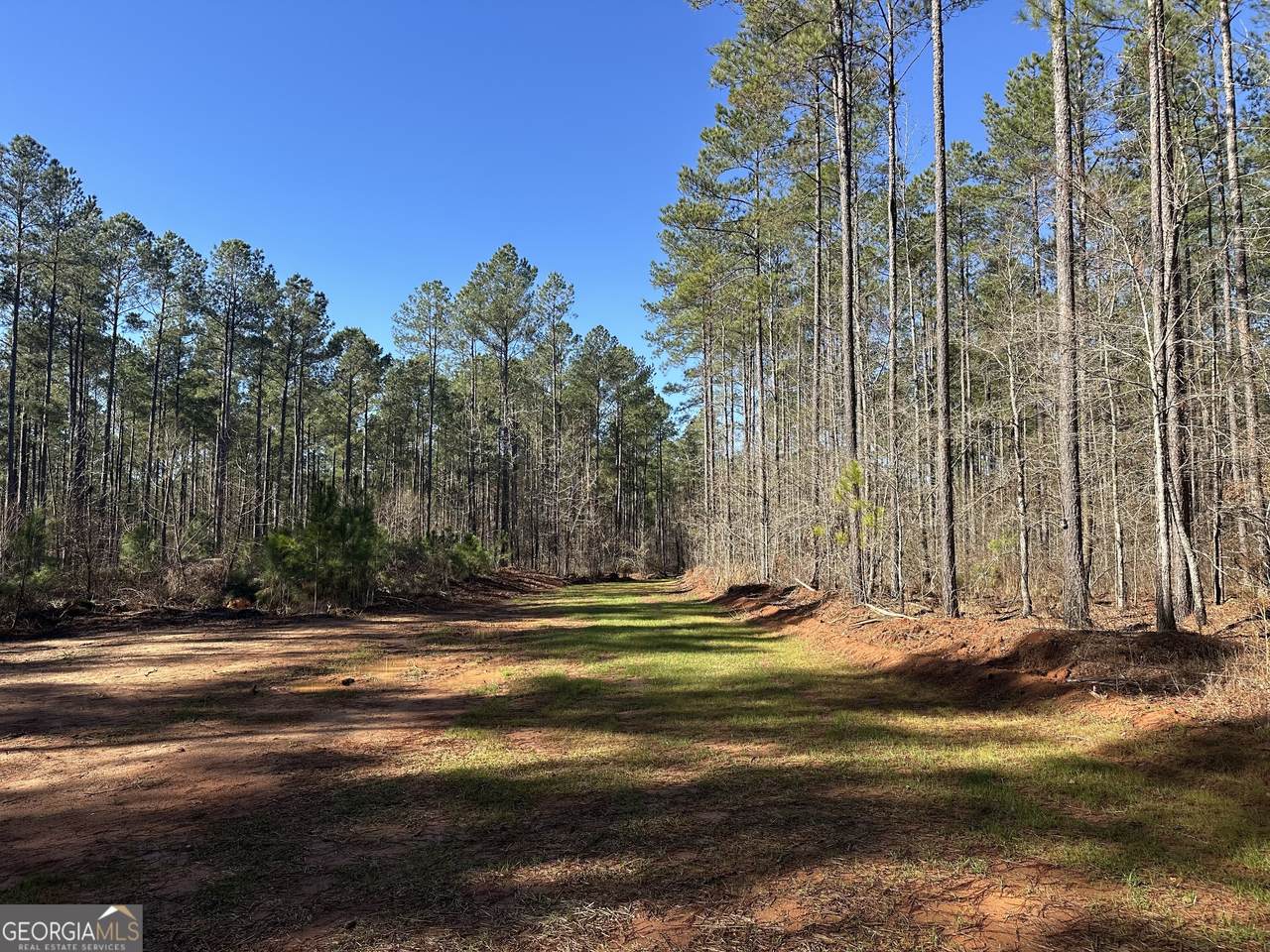 0 Farmington Road - Photo 1