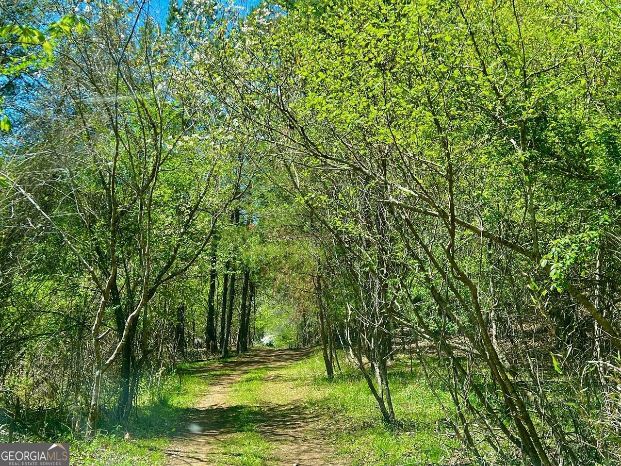 https://bt-photos.global.ssl.fastly.net/gamls/1280_boomver_1_10732179-2.jpg