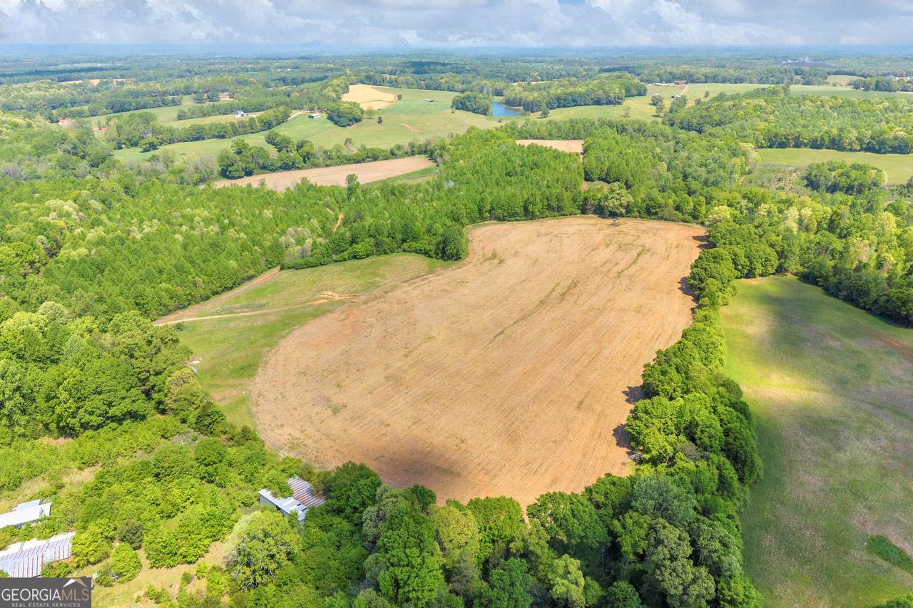1224 Cedar Ridge Road - Photo 1