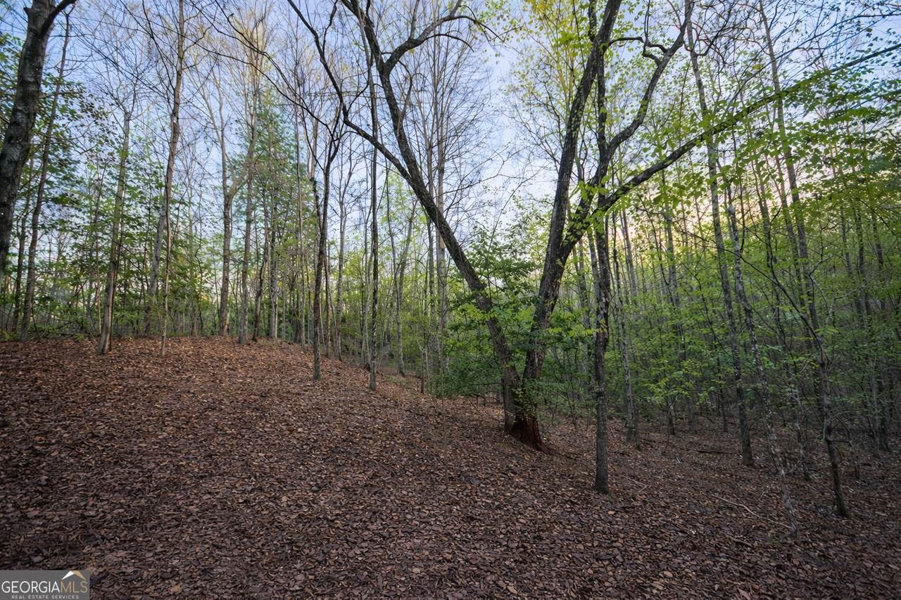 LOT 5 Riverbend Manor - Photo 1