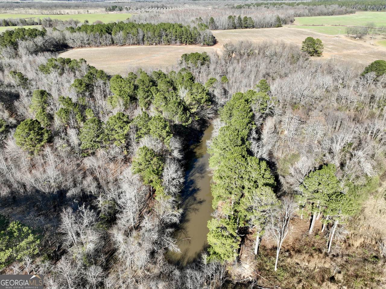 0 Jenkins Farm Road - Photo 1
