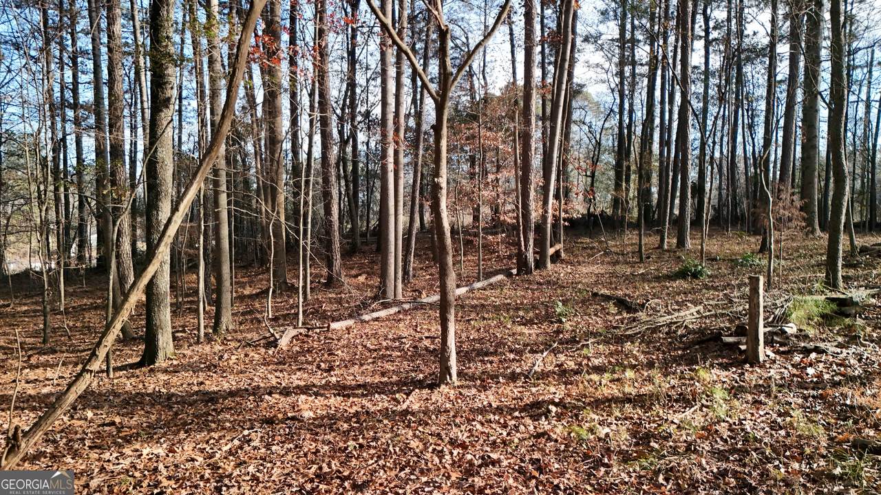 https://bt-photos.global.ssl.fastly.net/gamls/1280_boomver_1_10736344-2.jpg