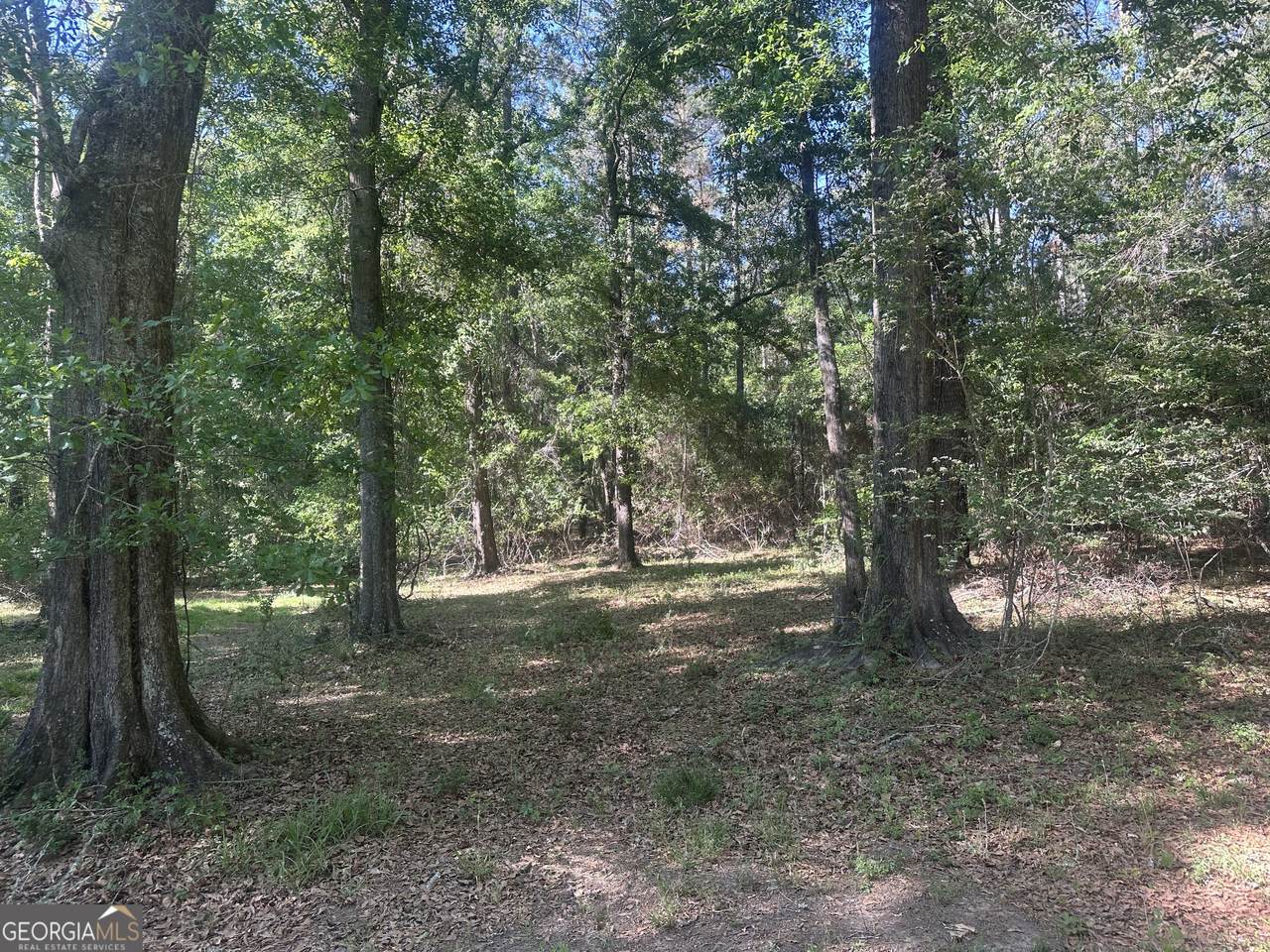 0 Burtons Ferry Highway - Photo 1