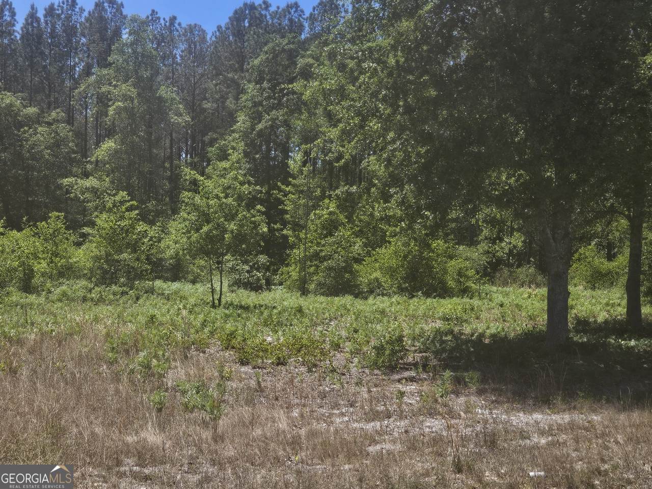 0 Edgar Lane Road - Photo 1