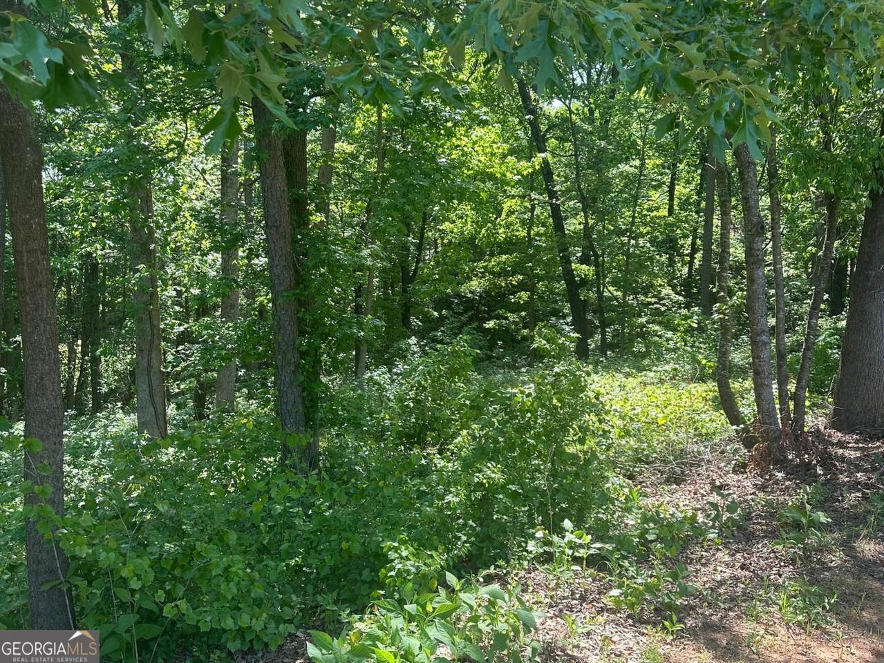 https://bt-photos.global.ssl.fastly.net/gamls/1280_boomver_1_10739438-2.jpg