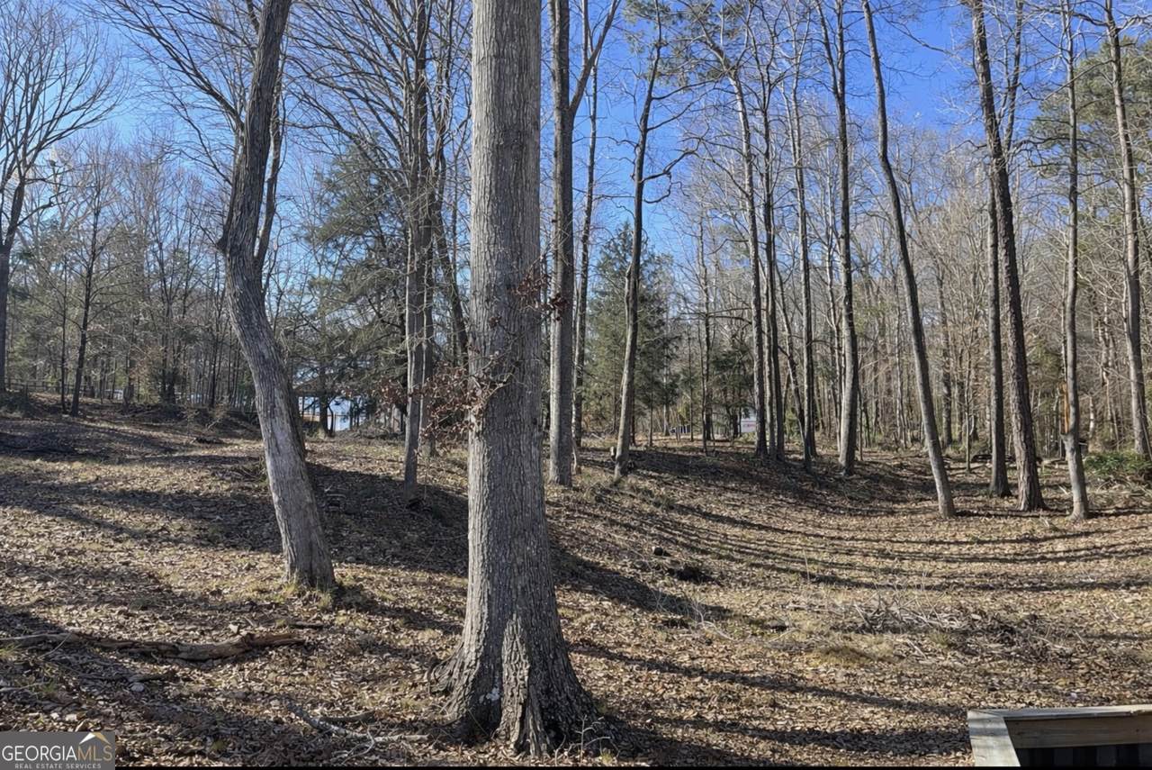 188 Lee Road - Photo 1