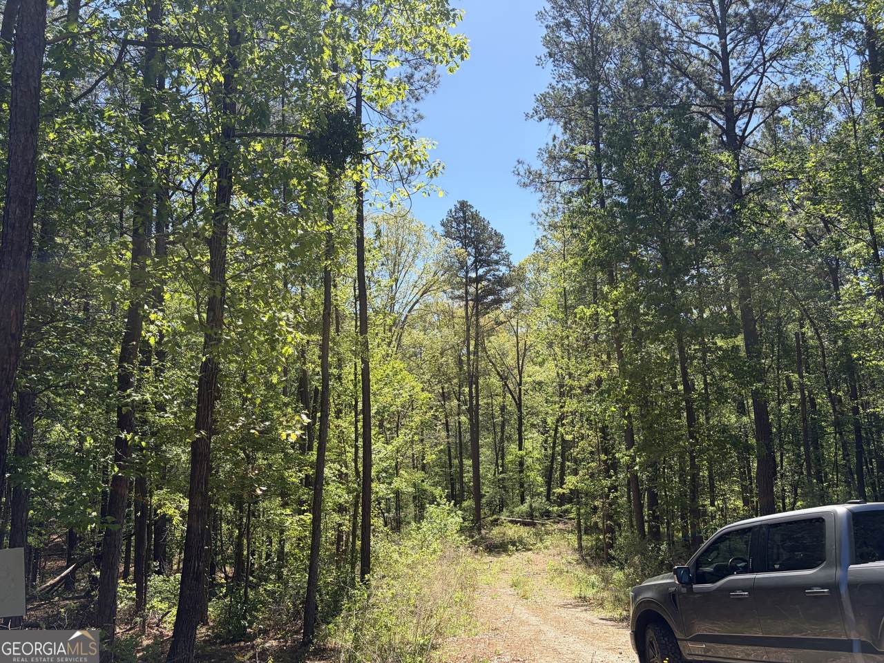 0 Gore Lakes Road - Photo 1