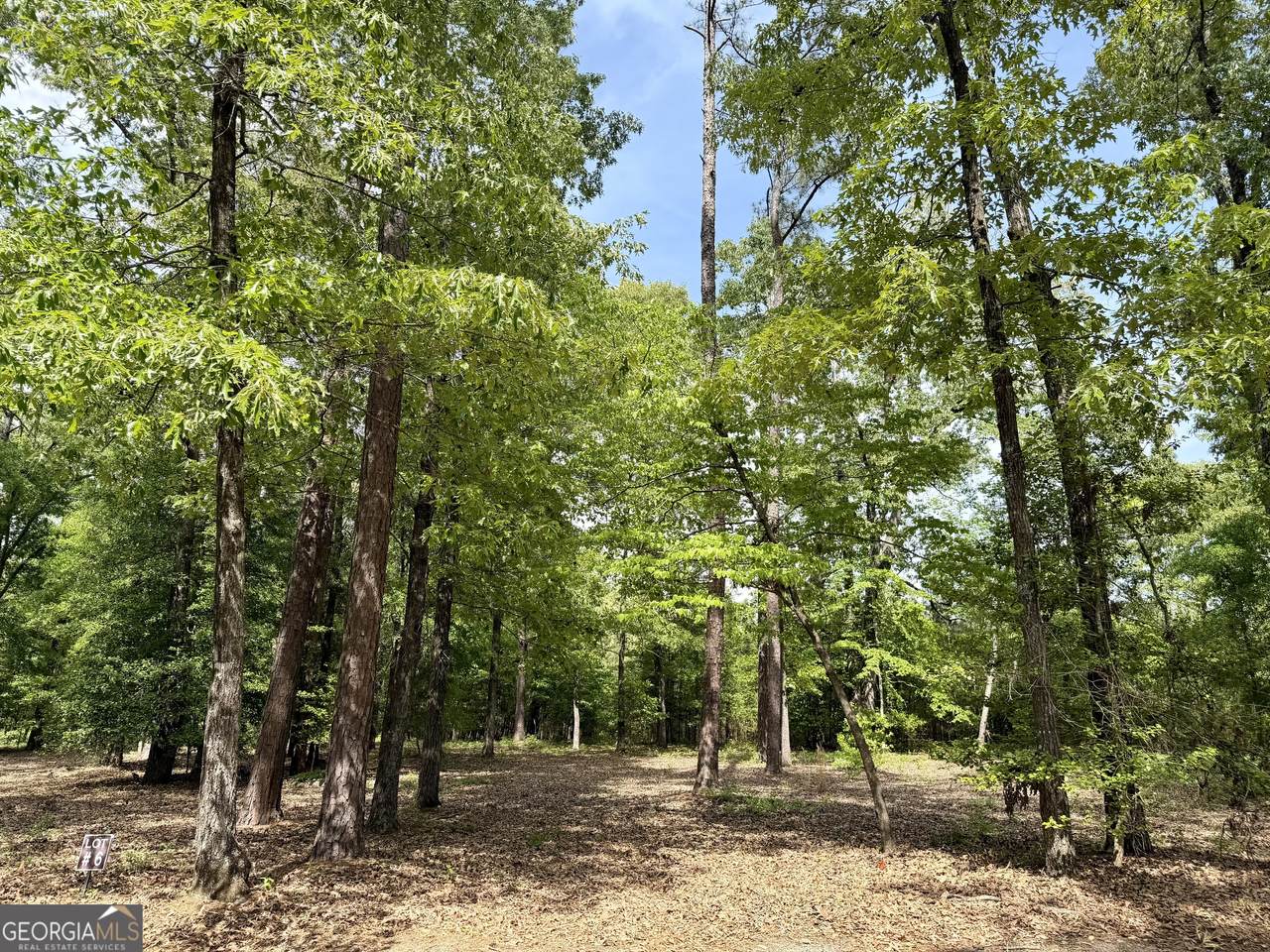 0 Deer Creek Trail - Photo 1