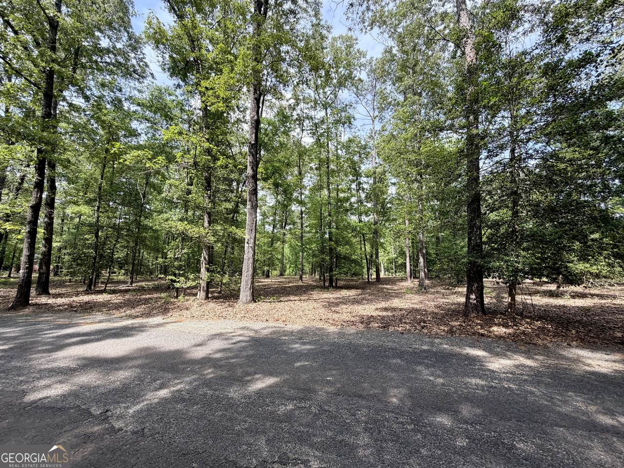 0 Deer Creek Trail - Photo 1
