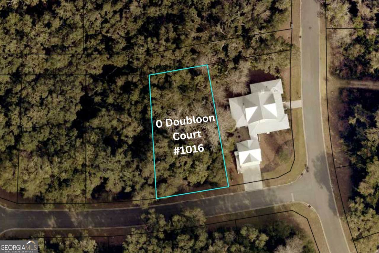 0 Doubloon Court - Photo 1