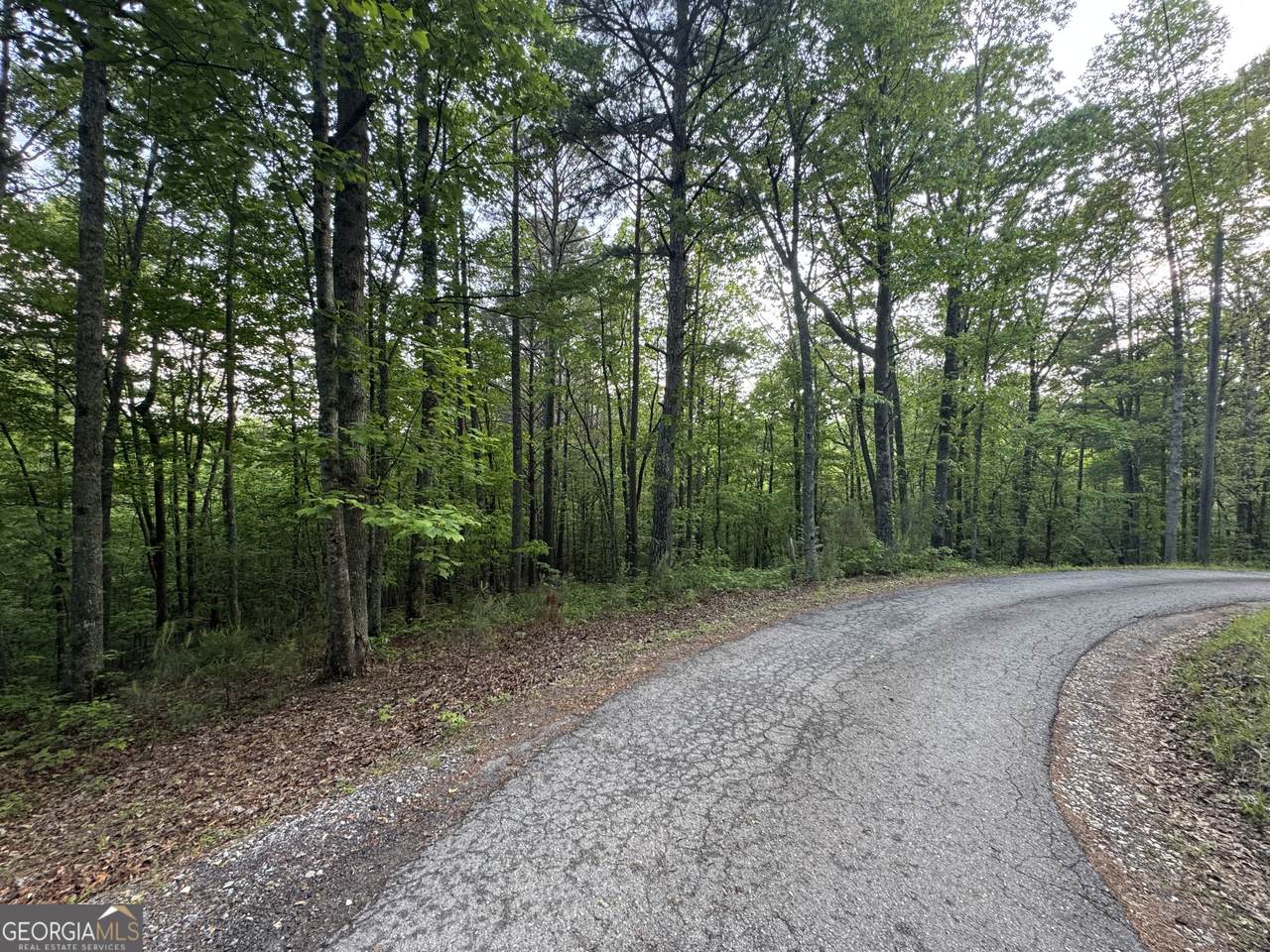 1 Holley Heights - Photo 1