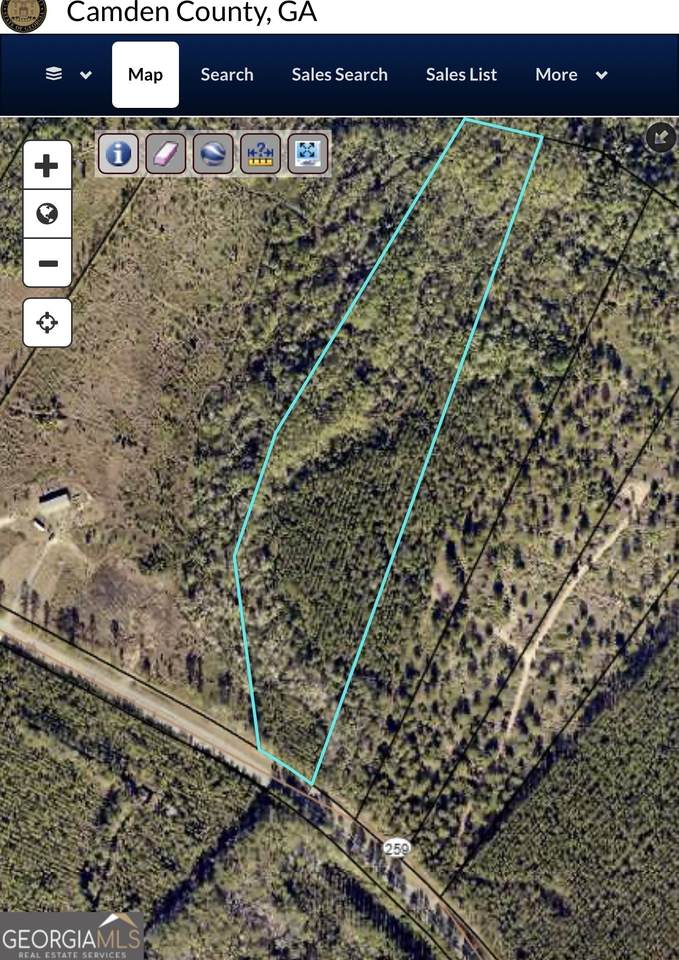 4490 Ga Highway 259 - Photo 1