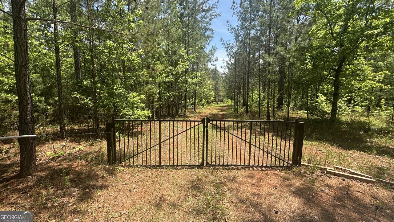 537 Zellner Road - Photo 1