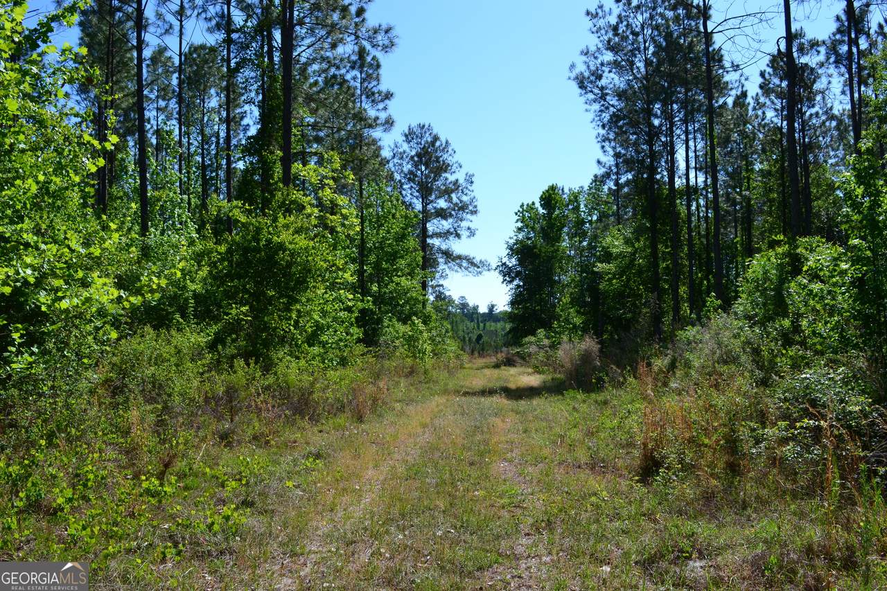 0 Scotland Road - Photo 1