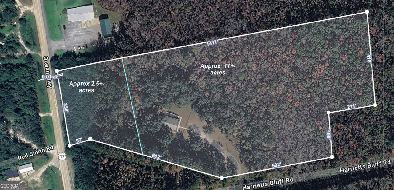 141 Harrietts Bluff Road - Photo 1