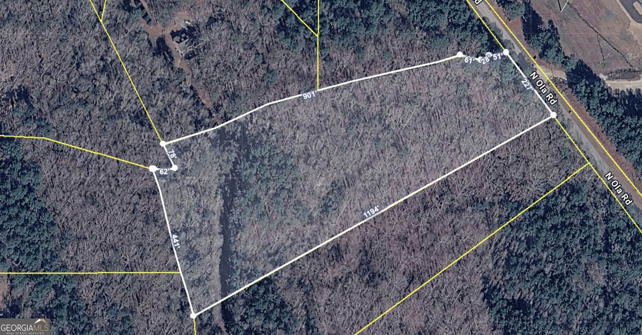 1585 Ola Road - Photo 1