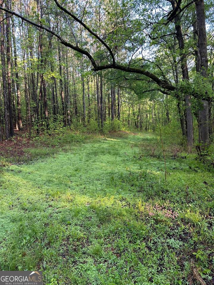 1433 Cleveland Farm Road - Photo 1