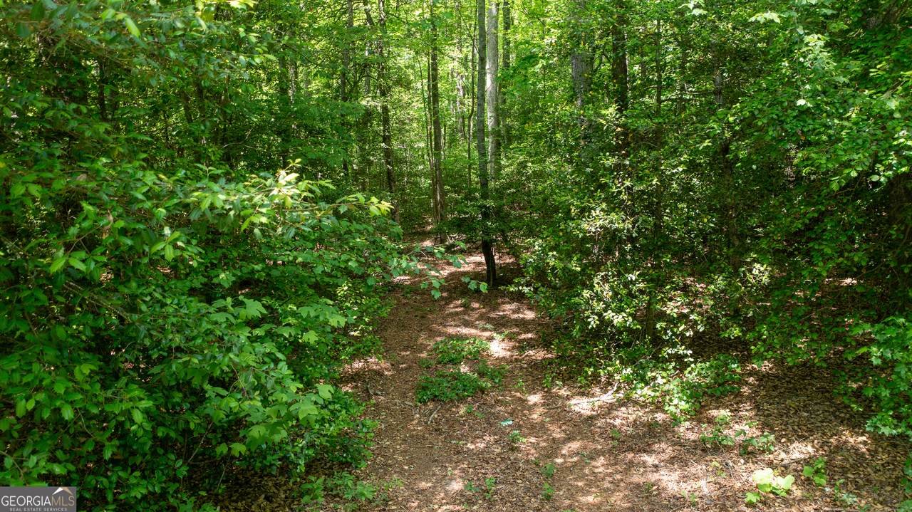 0 Hwy 136 (3.12 Acres) - Photo 1